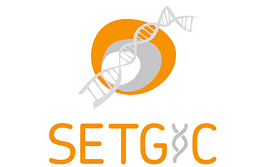 XII Congreso Bienal de la Sociedad Española de Terapia Genética y Celular